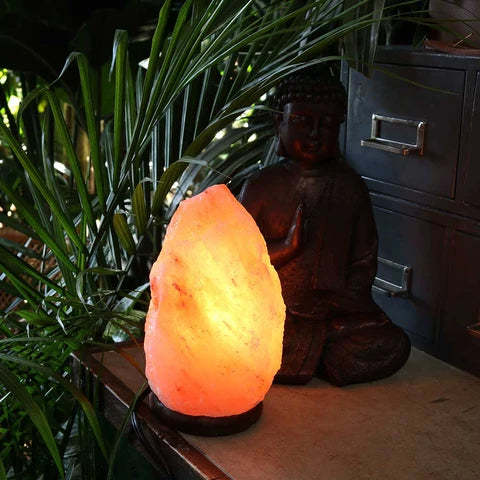 Lampe de sel de l’Himalaya artisanale sur base en bois ( +/- 9pouces), photo 2